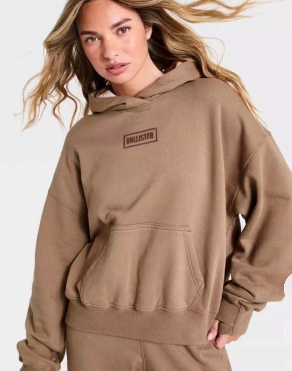 Hollister Brown Floral-Lined Logo Hoodie